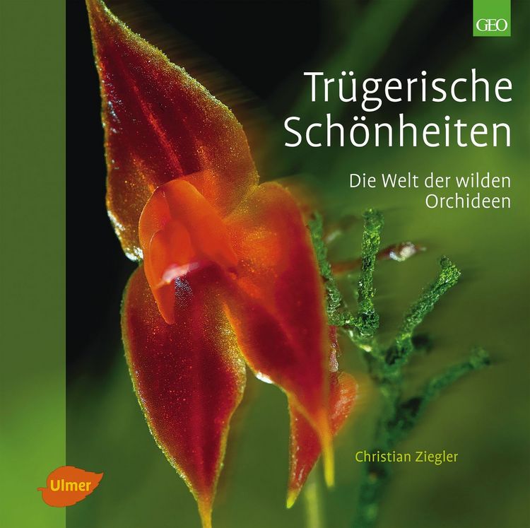 Produktbild: Tr&uuml;gerische Sch&ouml;nheiten