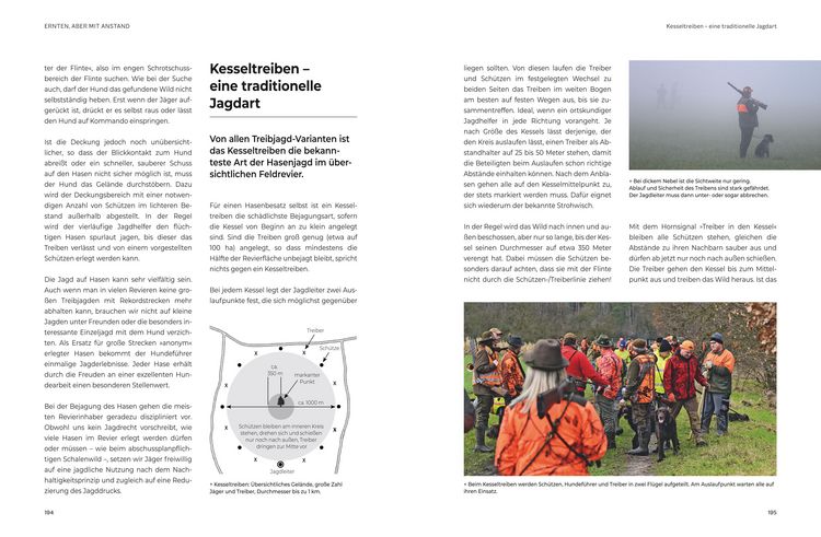 Produktbild: Das gro&szlig;e BLV Handbuch Niederwild