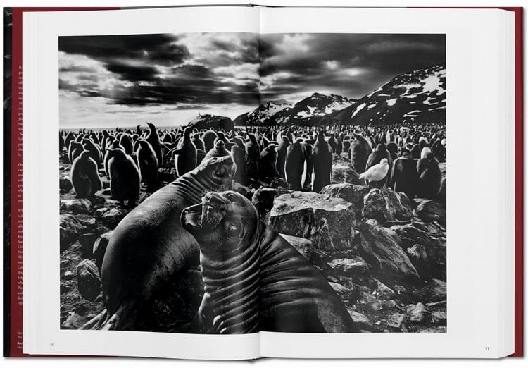 Produktbild: Sebasti&atilde;o Salgado. GENESIS
