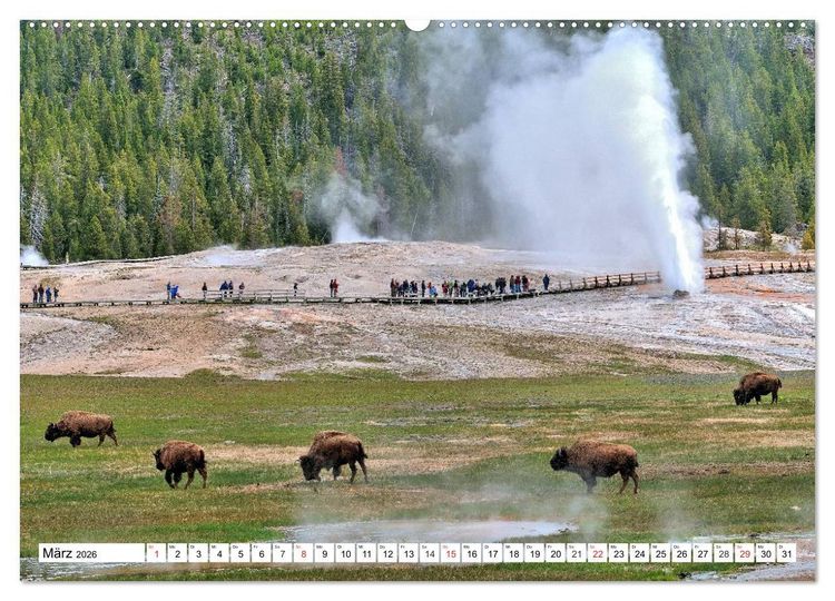 Produktbild: TATONKA Der nordamerikanische Bison (hochwertiger Premium Wandkalender 2026 DIN A2 quer), Kunstdruck in Hochglanz