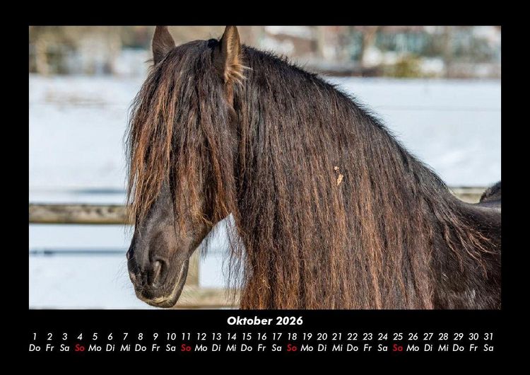 Produktbild: Die Welt der Pferde 2026 Fotokalender DIN A3