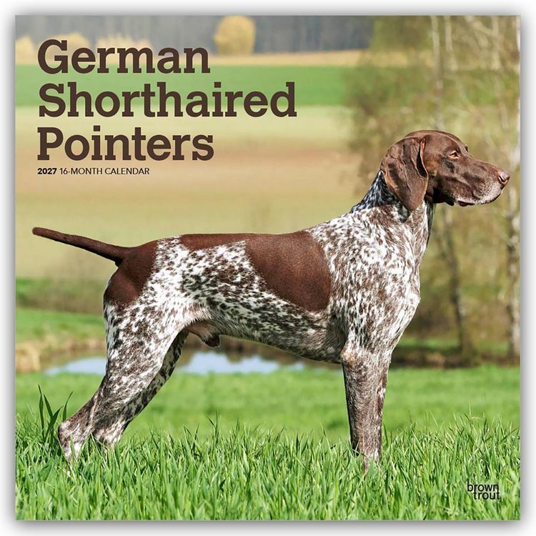 Produktbild: German Shorthaired Pointers &ndash; Deutsch Kurzhaar 2027 &ndash; 16-Monatskalender