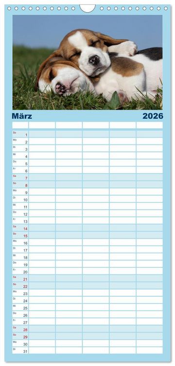 Produktbild: Familienplaner 2026 - Welpen - Puppies mit 5 Spalten (Wandkalender, 21 x 45 cm) CALVENDO