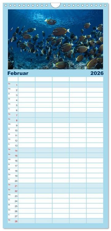 Produktbild: Familienplaner 2026 - Unterwasserwelt Christmas Island mit 5 Spalten (Wandkalender, 21 x 45 cm) CALVENDO