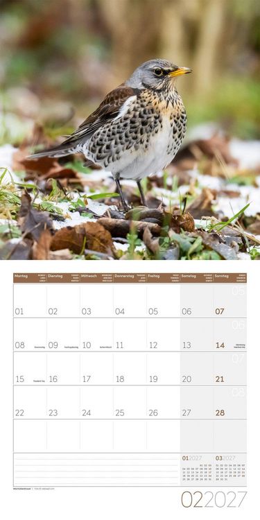 Produktbild: Gartenfreunde Kalender 2027 - 30x30 - Art12
