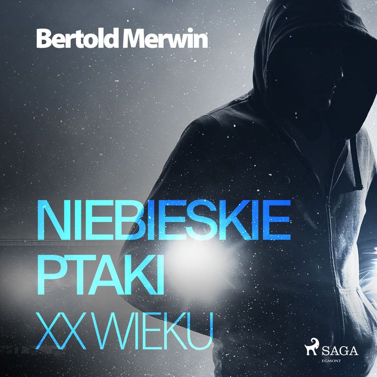 Produktbild: Niebieskie ptaki XX wieku