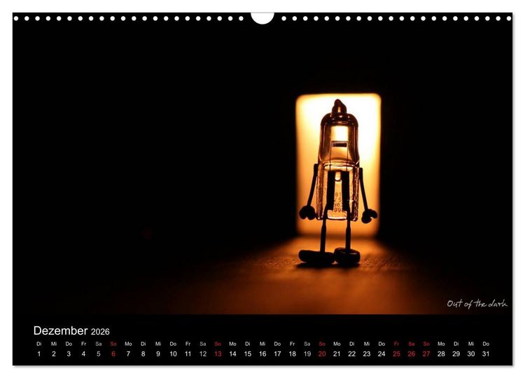 Produktbild: Bernie Blitz - Eine Birne sucht Erleuchtung (Wandkalender 2026 DIN A3 quer), CALVENDO Monatskalender
