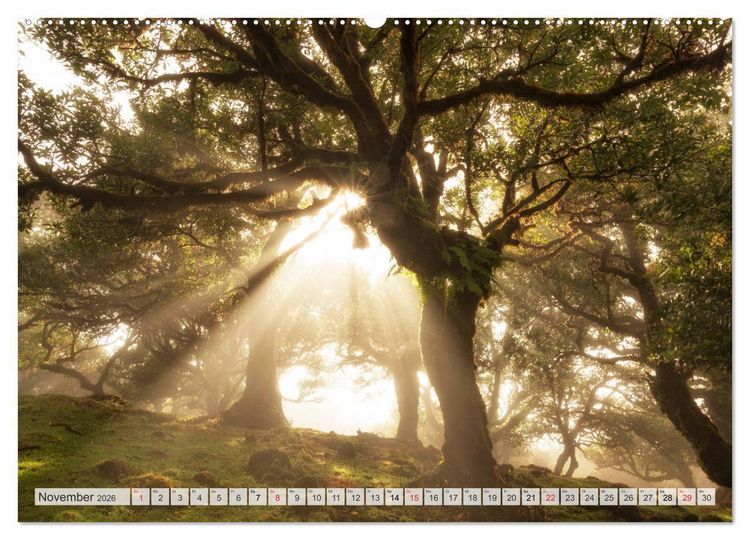 Produktbild: Madeira - eine Rundreise (Wandkalender 2026 DIN A2 quer), CALVENDO Monatskalender