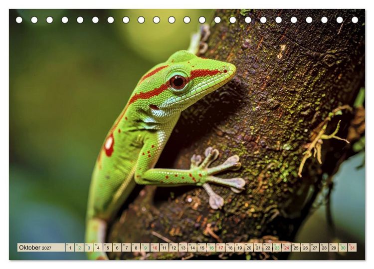Produktbild: Die buntesten Tiere - Weltweit (Tischkalender 2027 DIN A5 quer), CALVENDO Monatskalender