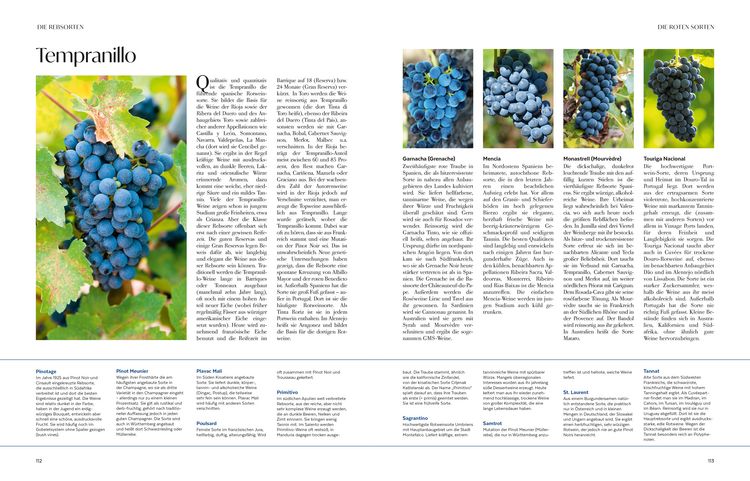 Produktbild: Wein &ndash; Die gro&szlig;e Schule