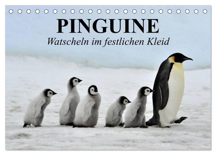 Produktbild: Pinguine - Watscheln im festlichen Kleid (Tischkalender 2026 DIN A5 quer), CALVENDO Monatskalender