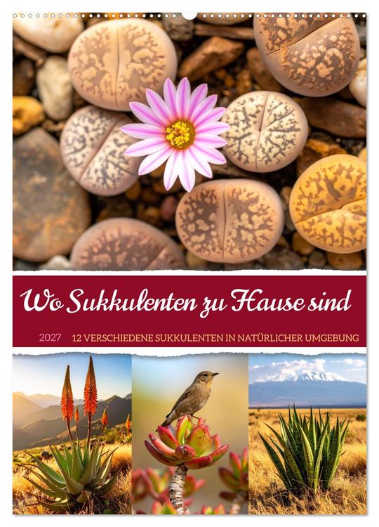 Produktbild: Wo Sukkulenten zu Hause sind (Wandkalender 2027 DIN A2 hoch), CALVENDO Monatskalender