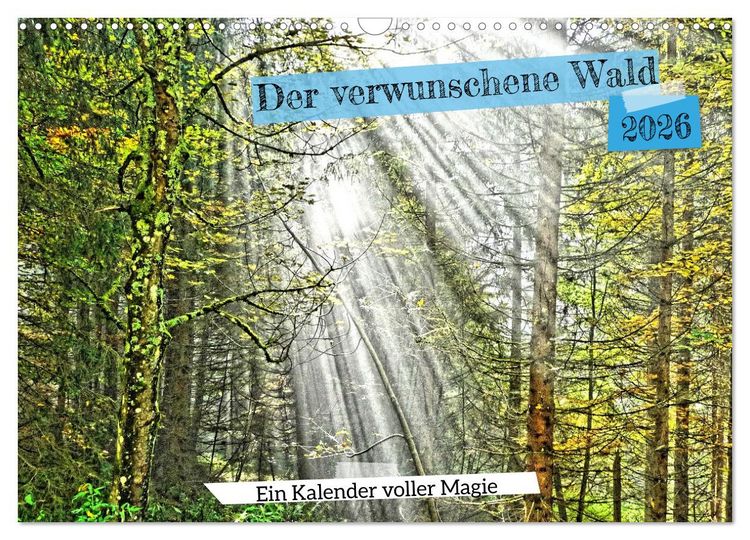 Produktbild: Verwunschene Waldtr&auml;ume: Ein Kalender voller Magie (Wandkalender 2026 DIN A3 quer), CALVENDO Monatskalender