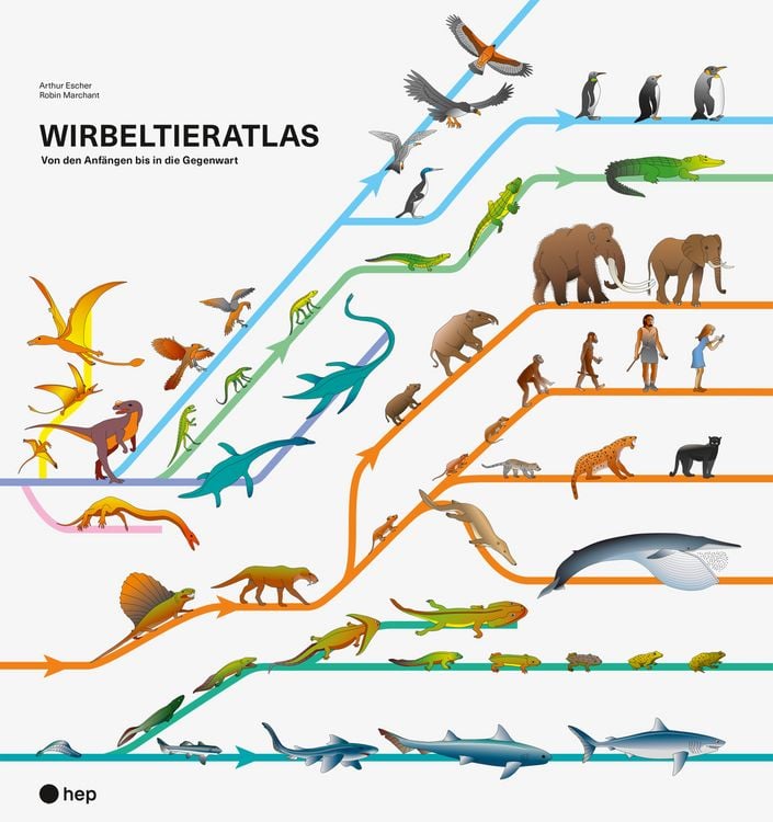Produktbild: Wirbeltieratlas