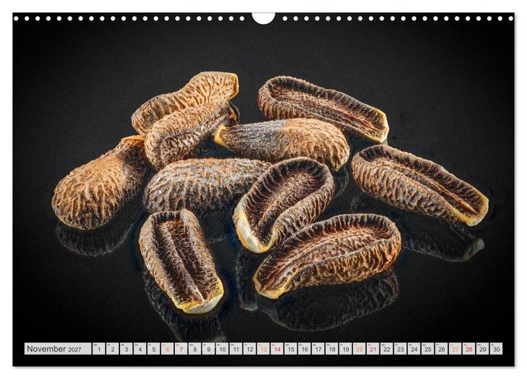 Produktbild: Zauber der kleinen Dinge (Wandkalender 2027 DIN A3 quer), CALVENDO Monatskalender
