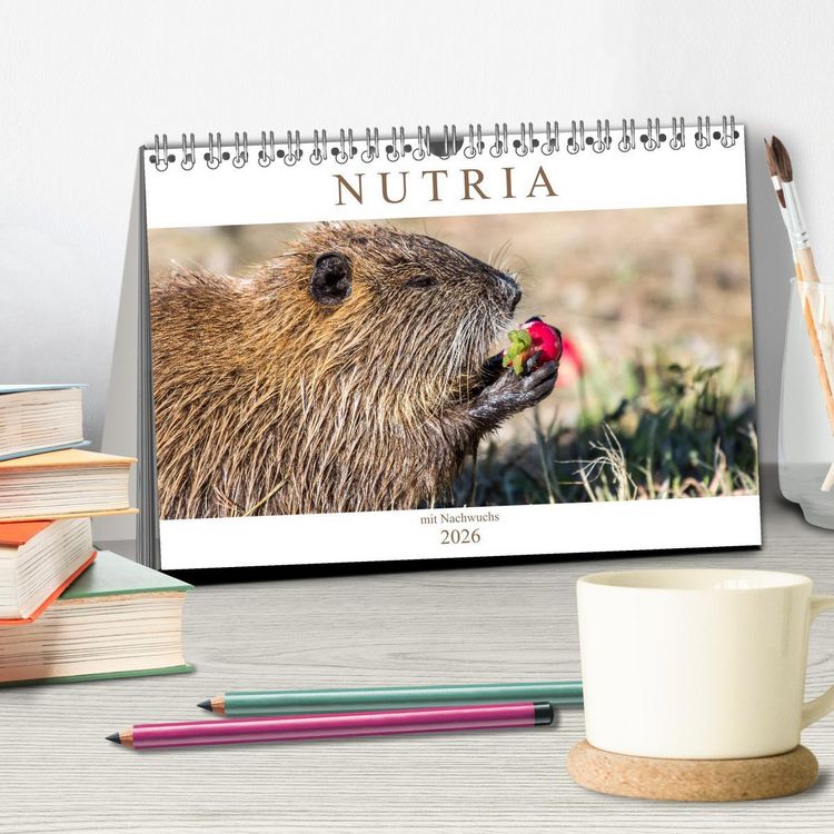 Produktbild: NUTRIA mit Nachwuchs (Tischkalender 2026 DIN A5 quer), CALVENDO Monatskalender