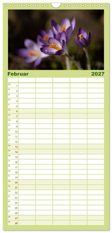 Produktbild: Familienplaner 2027 - Fr&uuml;hlingsbl&uuml;her - Farbenpracht nach dem Winter mit 5 Spalten (Wandkalender, 21 x 45 cm) CALVENDO