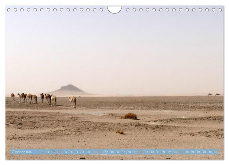 Produktbild: Sehnsucht Sahara (Wandkalender 2026 DIN A4 quer), CALVENDO Monatskalender