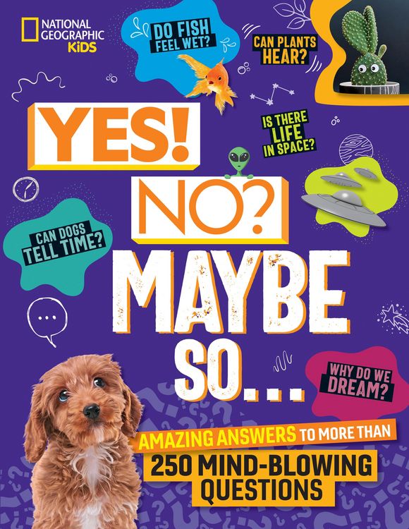 Produktbild: Yes! No? Maybe So...