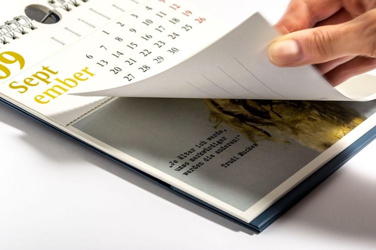 Produktbild: Verbl&uuml;ffende Wahrheiten &ndash; Postkartenkalender 2027