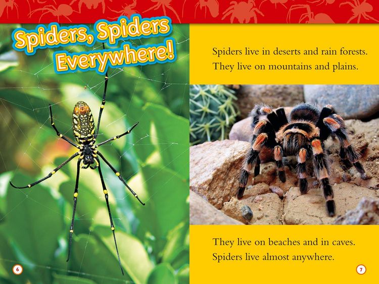 Produktbild: Nat Geo Readers - Spiders