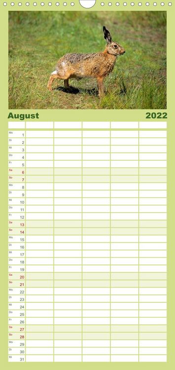 Produktbild: Familienplaner Tiere des Waldes (Wandkalender 2022 , 21 cm x 45 cm, hoch)