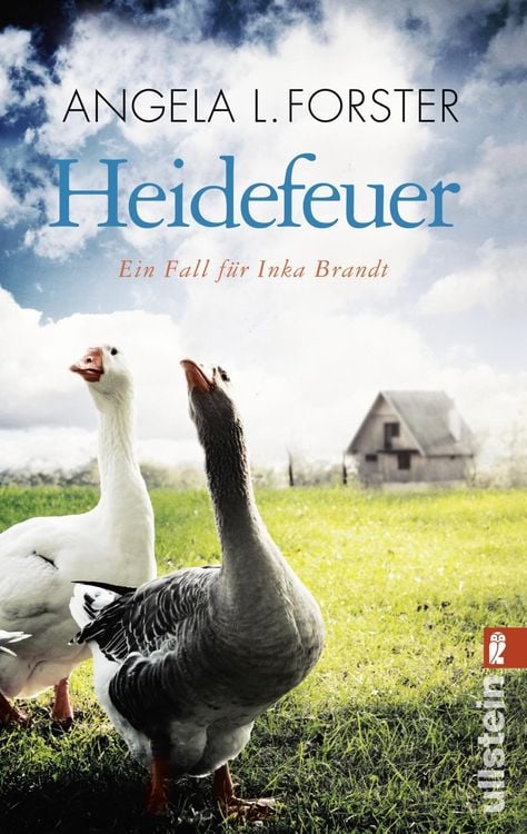 Produktbild: Heidefeuer / Inka Brandt Bd. 1
