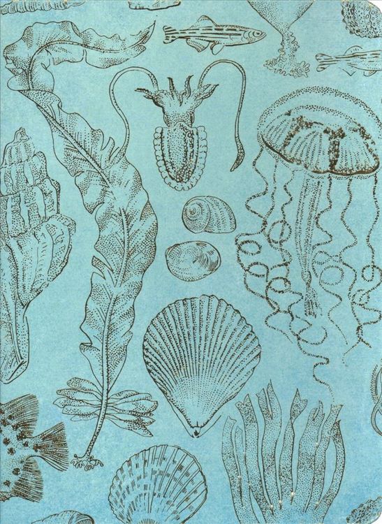 Produktbild: Sealife Sketches Journal