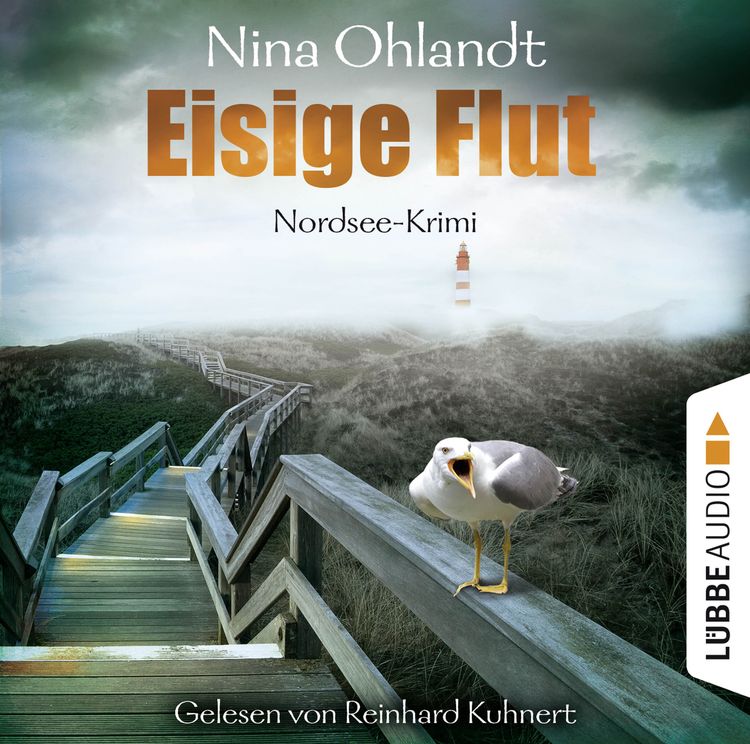 Produktbild: Eisige Flut