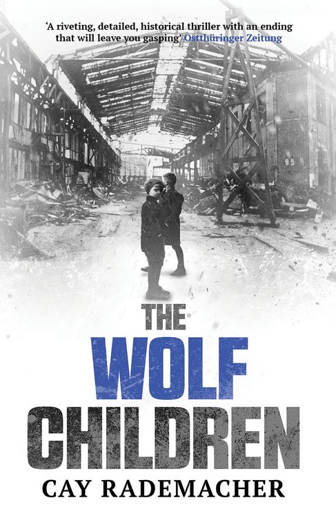 Produktbild: Wolf Children
