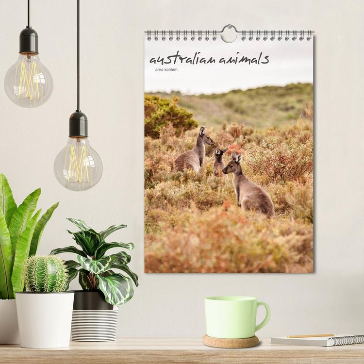 Produktbild: australian animals (Wandkalender 2026 DIN A4 hoch), CALVENDO Monatskalender