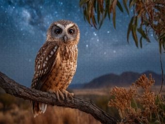 Produktbild: CALVENDO Puzzle Eule unter dem Sternenhimmel | 1000 Teile Lege-Gr&ouml;&szlig;e 64x48cm Foto-Puzzle f&uuml;r gl&uuml;ckliche Stunden