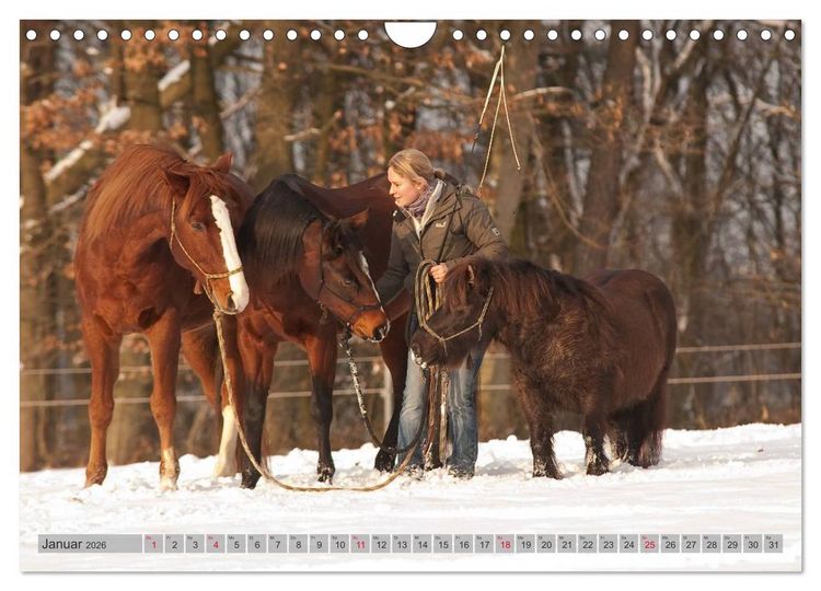 Produktbild: Natural Horsemanship - Partnerschaft mit Pferden (Wandkalender 2026 DIN A4 quer), CALVENDO Monatskalender
