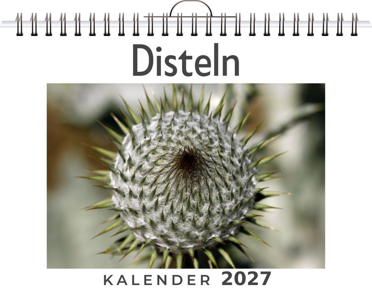 Produktbild: Disteln