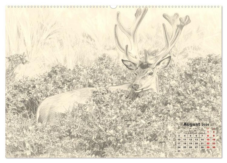 Produktbild: Wilde Seelen - Tierische Momente in Graphit (hochwertiger Premium Wandkalender 2026 DIN A2 quer), Kunstdruck in Hochglanz