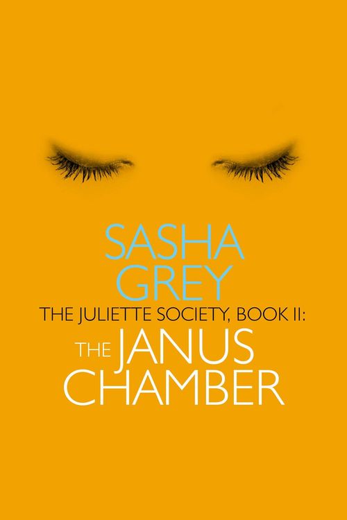 Produktbild: The Janus Chamber