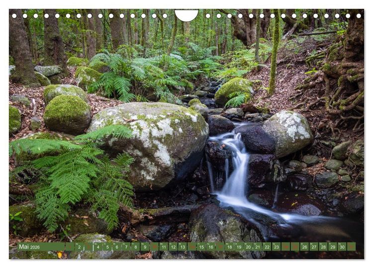 Produktbild: La Gomera - Vielseitige Insel (Wandkalender 2026 DIN A4 quer), CALVENDO Monatskalender