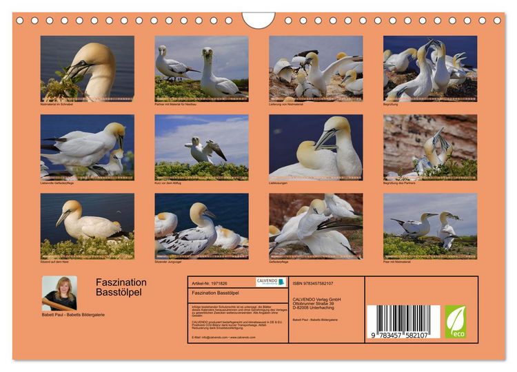 Produktbild: Faszination Basst&ouml;lpel (Wandkalender 2026 DIN A4 quer), CALVENDO Monatskalender
