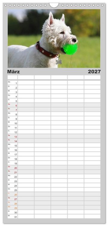 Produktbild: Familienplaner 2027 - West Highland White Terrier - Selbstbewustes Powerpaket - der Westie mit 5 Spalten (Wandkalender, 21 x 45 cm) CALVENDO
