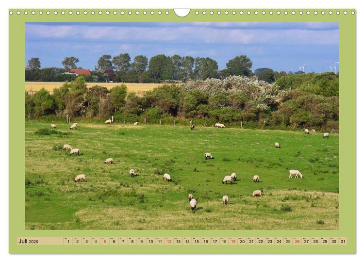 Produktbild: B&uuml;sum an der Nordsee (Wandkalender 2026 DIN A3 quer), CALVENDO Monatskalender