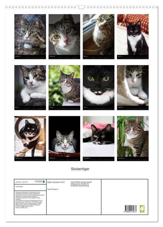 Produktbild: Stubentiger (Wandkalender 2027 DIN A2 hoch), CALVENDO Monatskalender