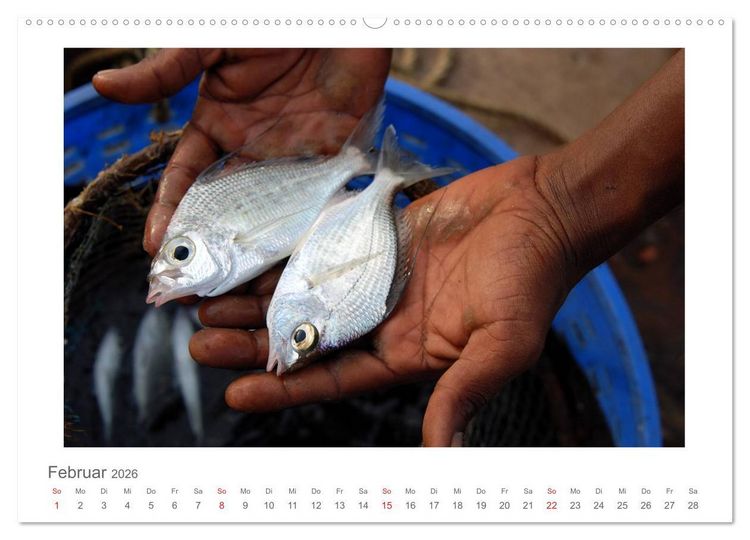 Produktbild: Farbenfrohes Kerala - Eindr&uuml;cke aus God&acute;s Own Country (Wandkalender 2026 DIN A2 quer), CALVENDO Monatskalender