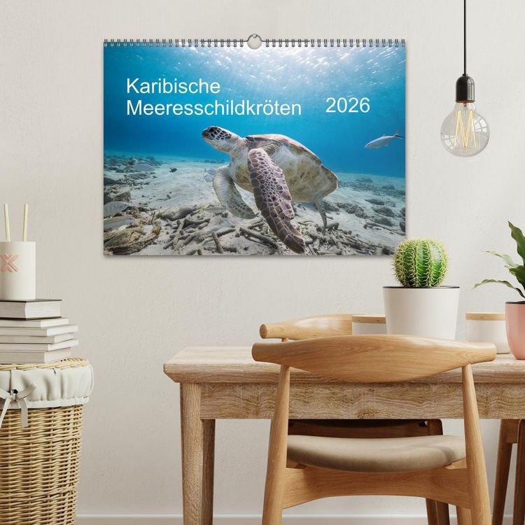 Produktbild: Karibische Meeresschildkr&ouml;ten (Wandkalender 2026 DIN A3 quer), CALVENDO Monatskalender