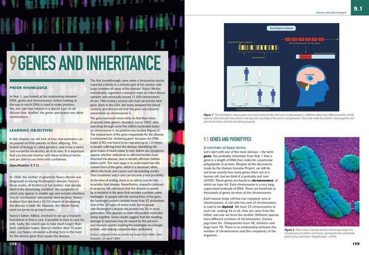 Produktbild: AQA A Level Biology Year 2 Student Book