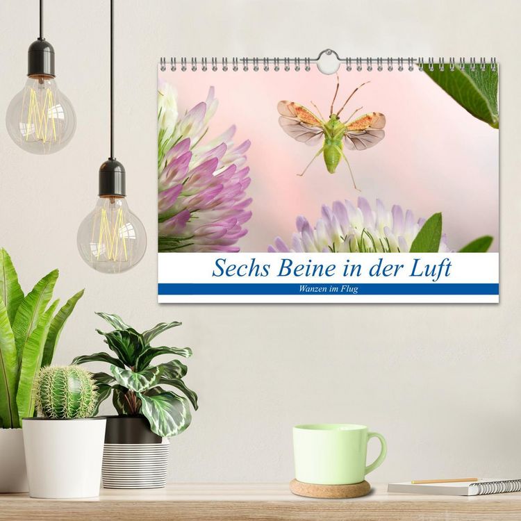 Produktbild: Sechs Beine in der Luft - Wanzen im Flug (Wandkalender 2026 DIN A4 quer), CALVENDO Monatskalender