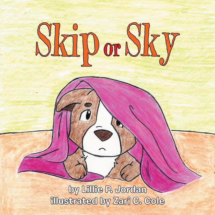 Produktbild: Skip or Sky