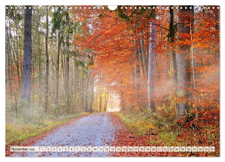 Produktbild: Impressionen Augsburger Stadtwald (Wandkalender 2026 DIN A3 quer), CALVENDO Monatskalender