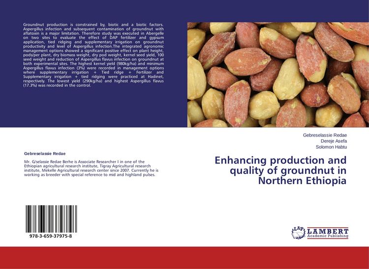 Produktbild: Enhancing production and quality of groundnut in Northern Ethiopia