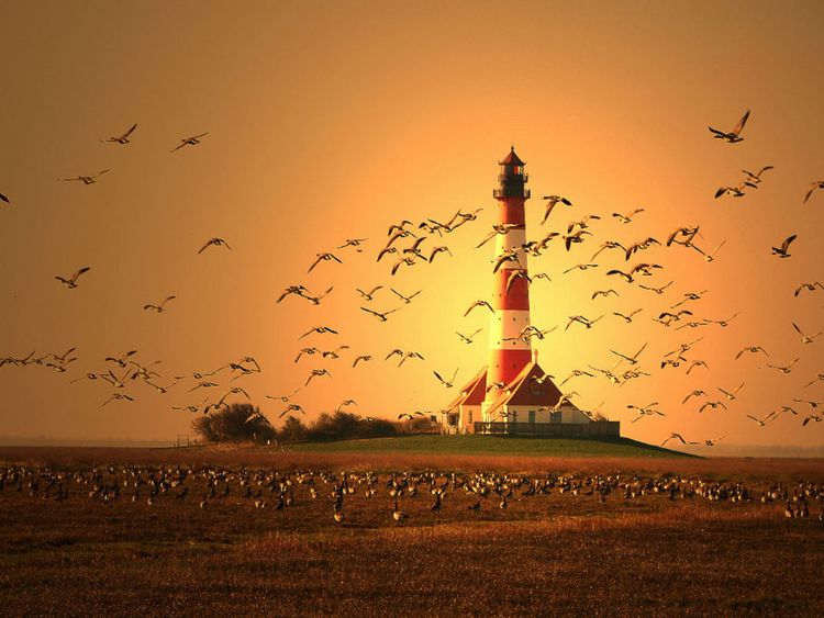 Produktbild: CALVENDO Puzzle Leuchtturm Westerhever | 1000 Teile Lege-Gr&ouml;&szlig;e 64x48cm Foto-Puzzle f&uuml;r gl&uuml;ckliche Stunden