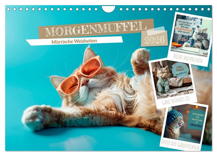 Produktbild: MORGENMUFFEL M&uuml;rrische Weisheiten (Wandkalender 2026 DIN A4 quer), CALVENDO Monatskalender